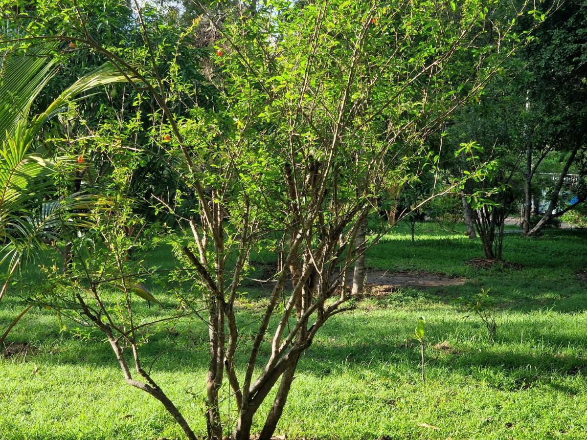 Sigiriya Cottage المظهر الخارجي الصورة