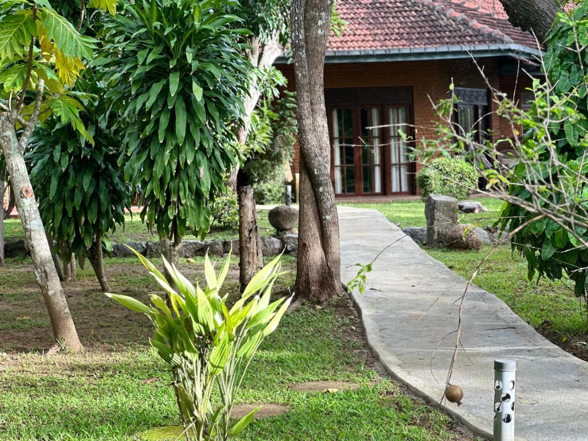 Sigiriya Cottage المظهر الخارجي الصورة