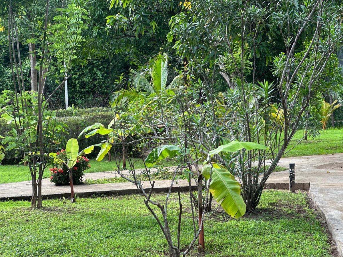 Sigiriya Cottage المظهر الخارجي الصورة