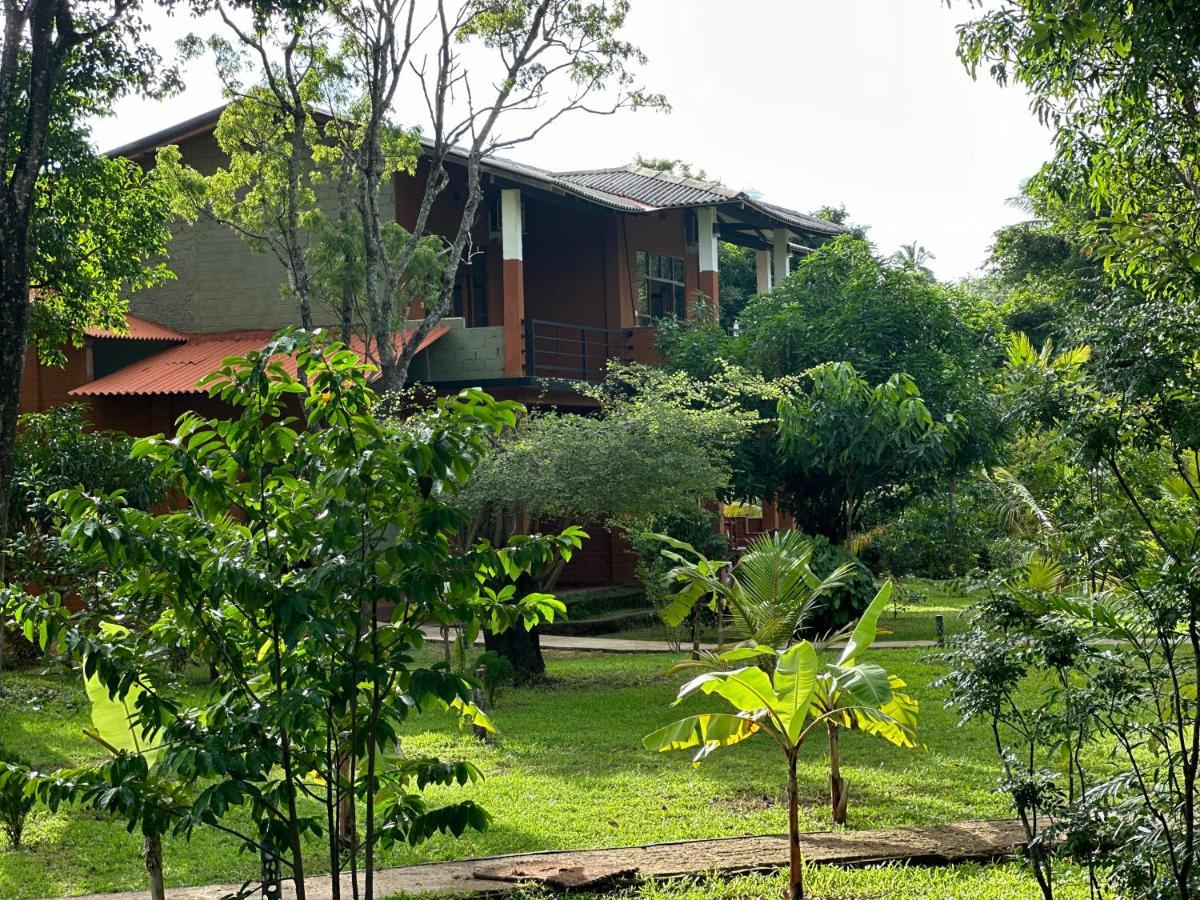 Sigiriya Cottage المظهر الخارجي الصورة