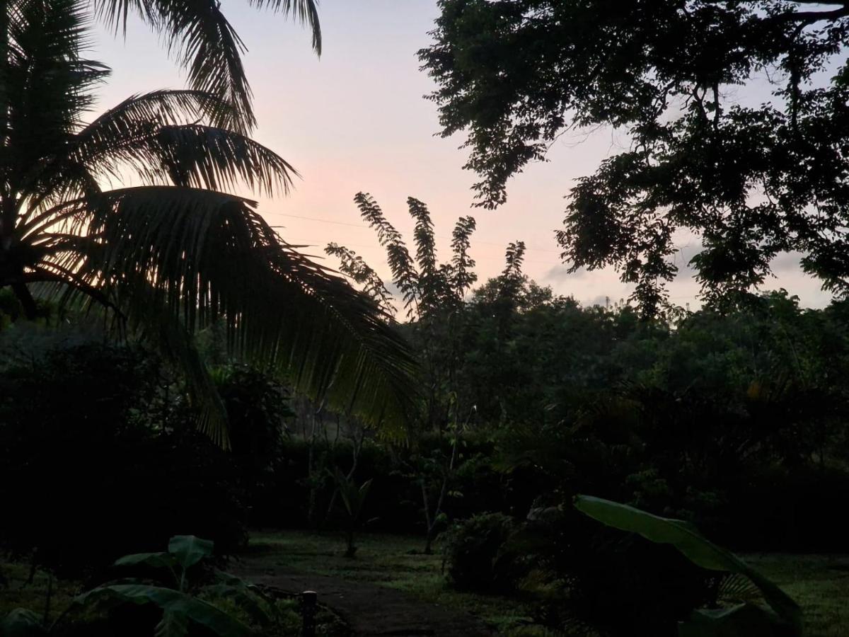 Sigiriya Cottage المظهر الخارجي الصورة