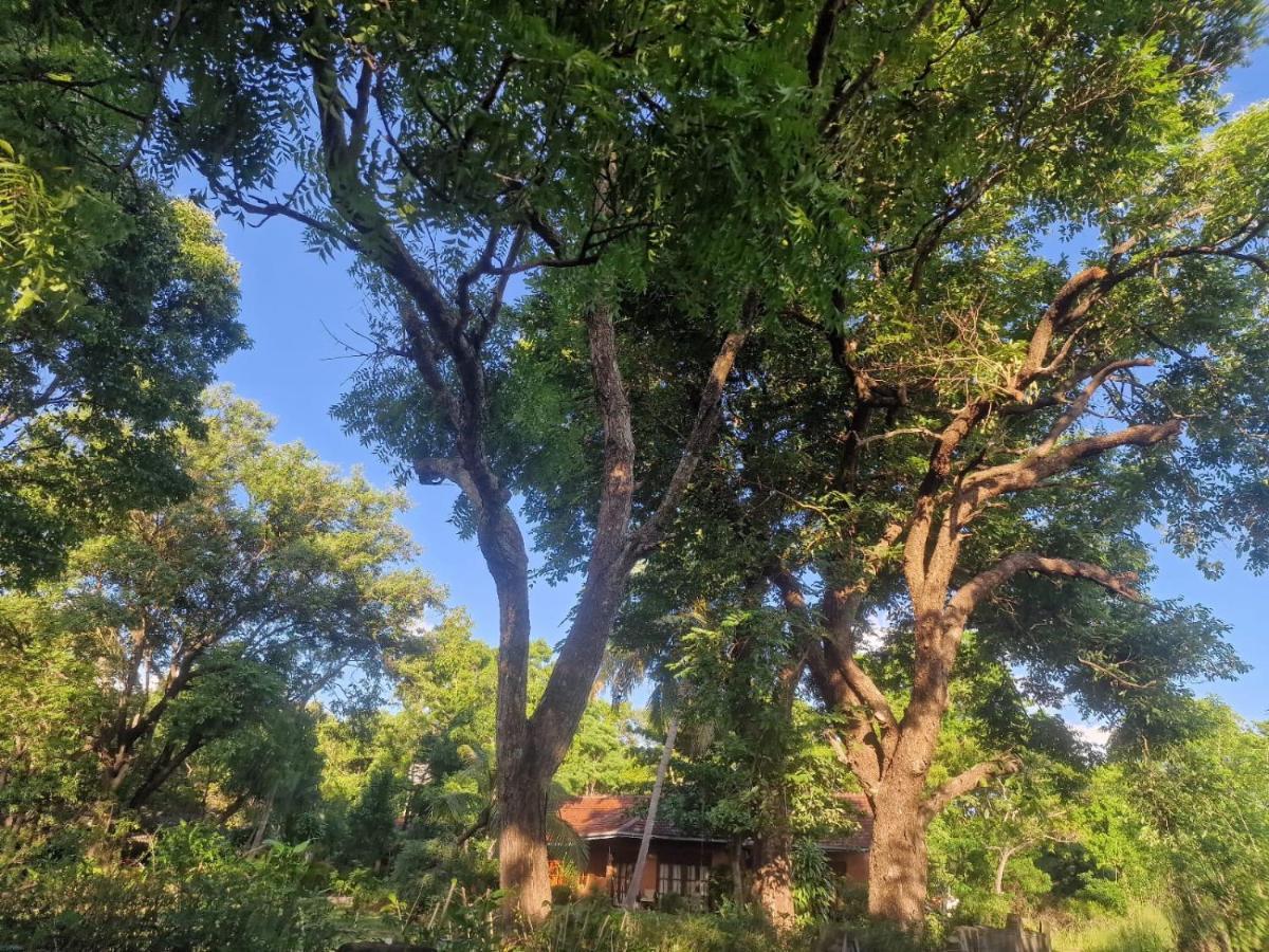 Sigiriya Cottage المظهر الخارجي الصورة