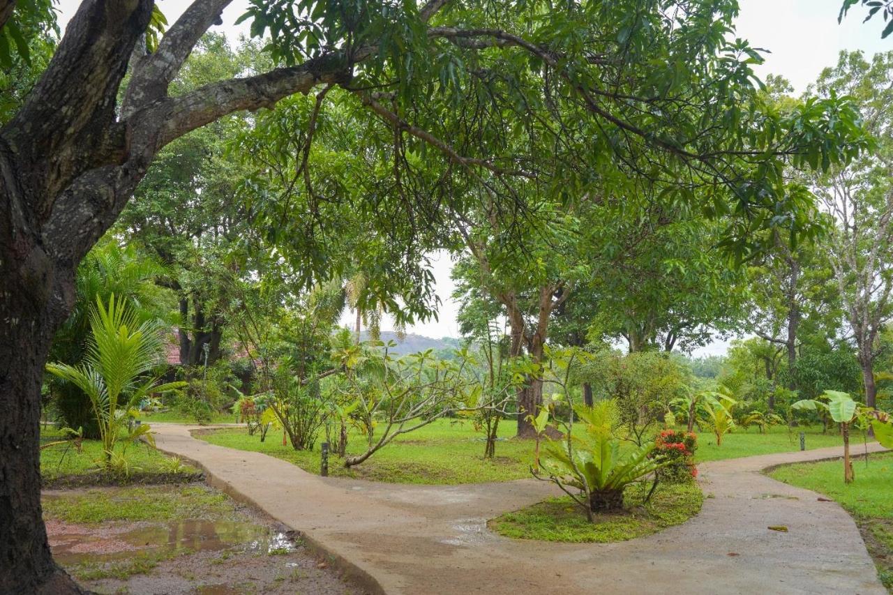 Sigiriya Cottage المظهر الخارجي الصورة