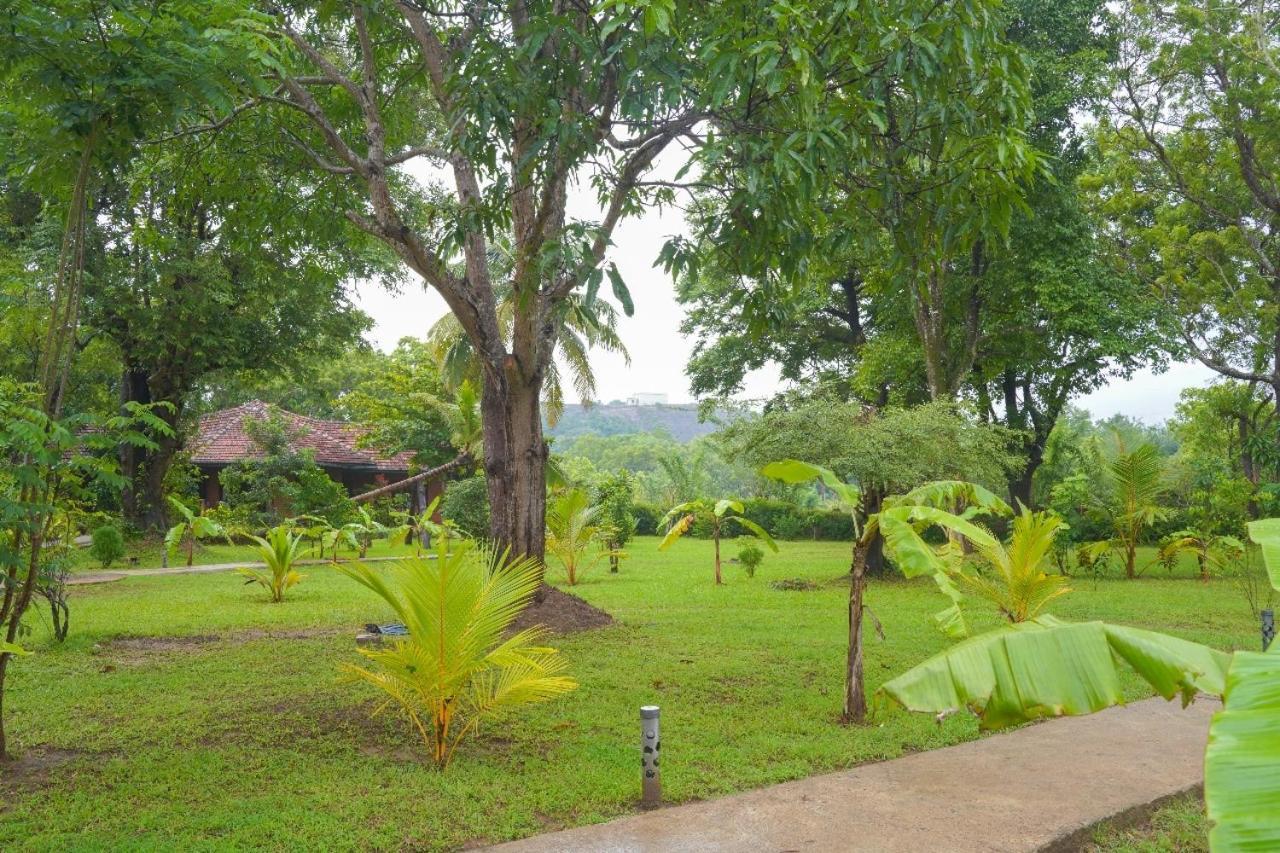 Sigiriya Cottage المظهر الخارجي الصورة