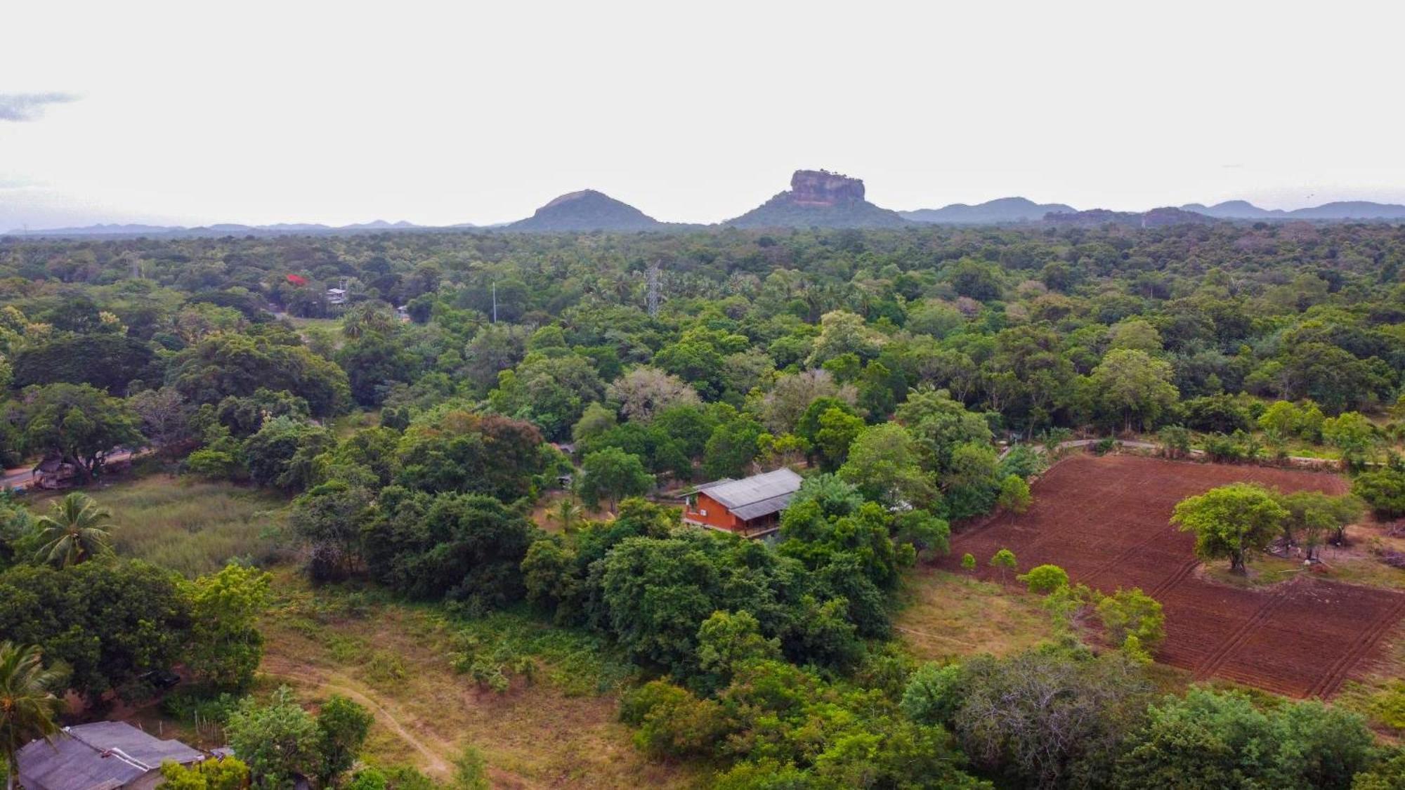 Sigiriya Cottage المظهر الخارجي الصورة